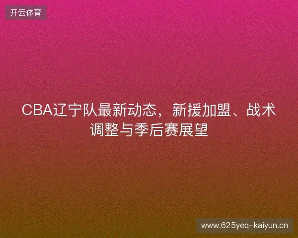 CBA辽宁队最新动态，新援加盟、战术调整与季后赛展望